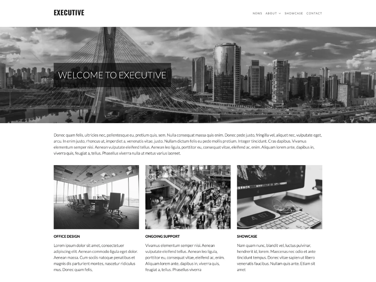 Executive WordPress Theme